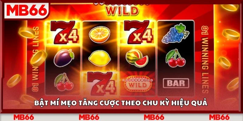 Bật mí mẹo tăng cược theo chu kỳ hiệu quả
