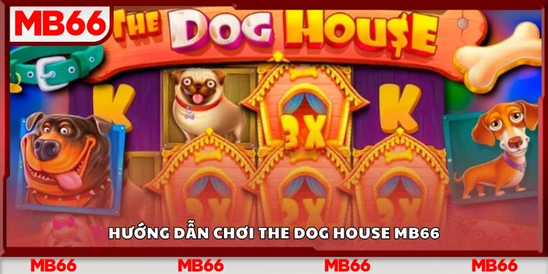Cách chơi The Dog House Mb66 chi tiết