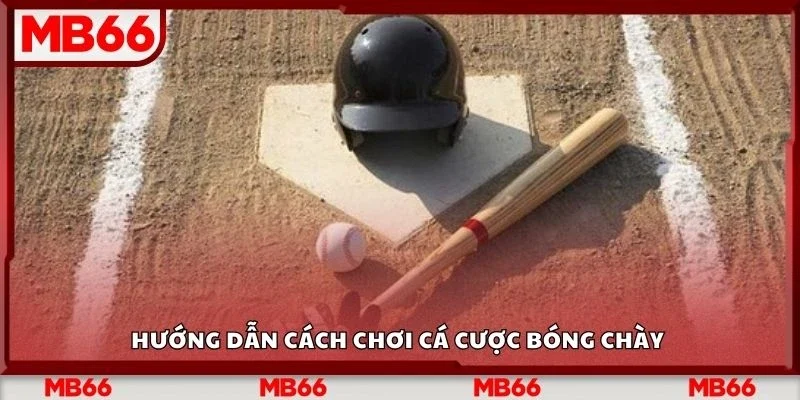 Hướng dẫn cách chơi cá cược bóng chày
